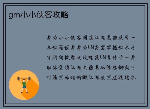 gm小小侠客攻略